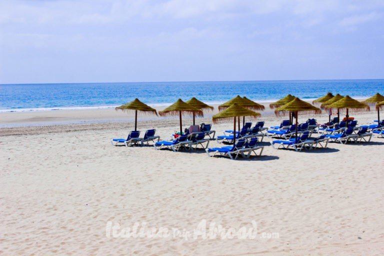 Cadiz beach and palm three - How to travel with a full time job