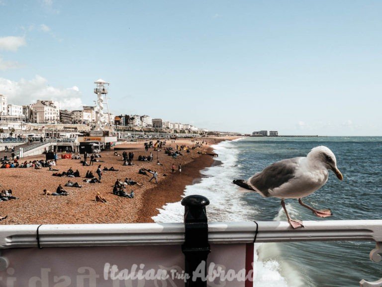 Brighton winter day trips from London