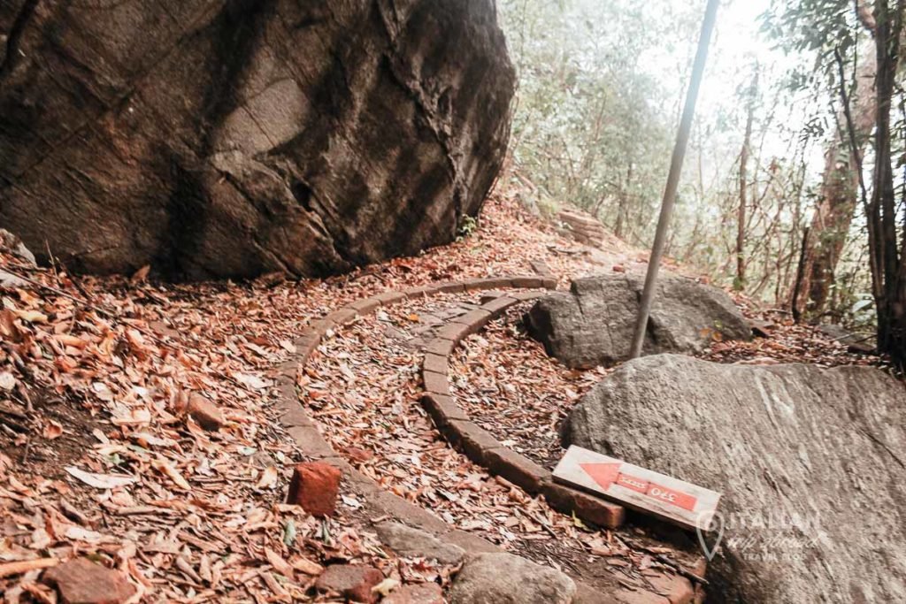 Pidurangala Rock Hike - leveled on the rock
