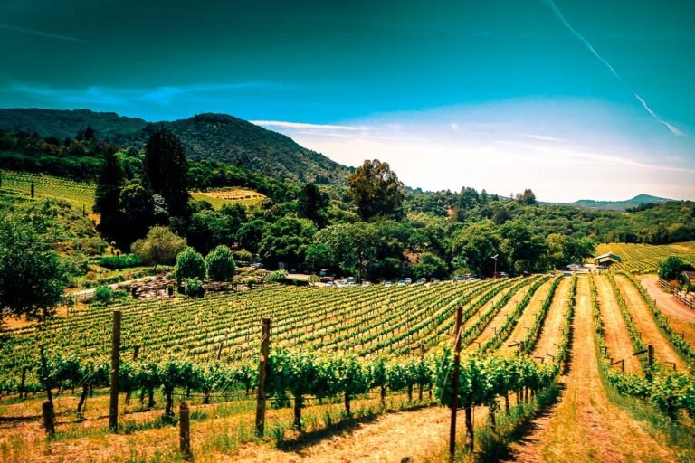 Wine tasting in Tuscany - Best day trips from Florence