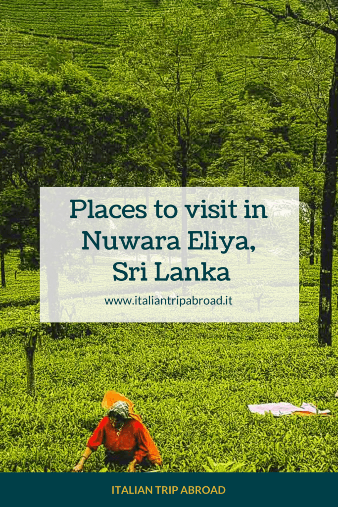Places to visit in Nuwara Eliya