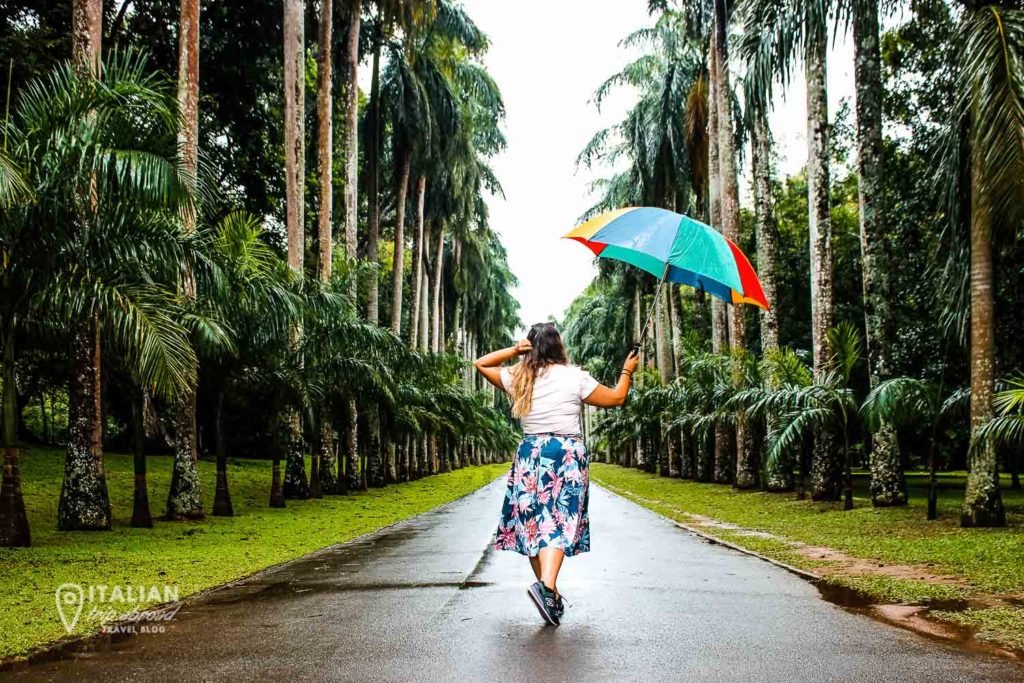 12 THINGS TO DO IN KANDY THE CULTURAL CAPITAL OF SRI LANKA 3 Kandy Royal Botanic Garden-8