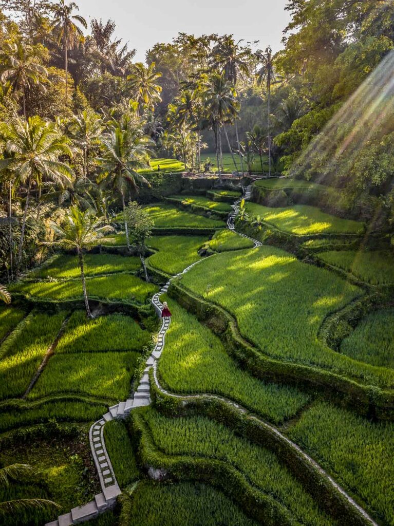 Cruising Indonesia – The Best Destinations to visit