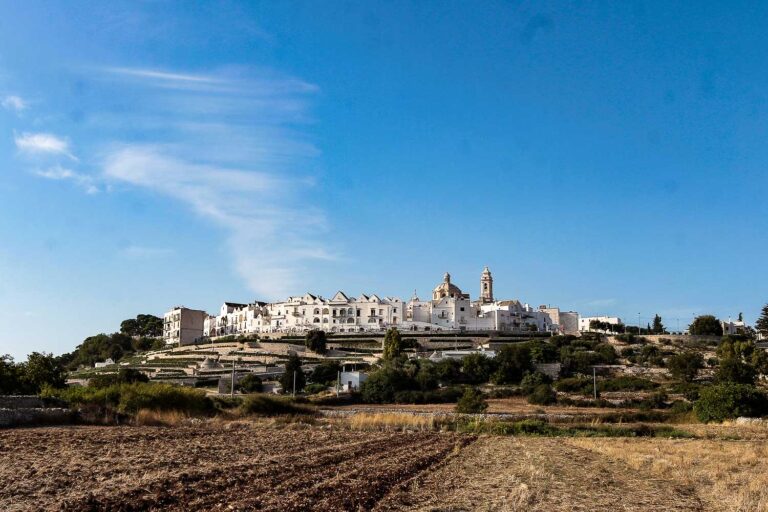 The view of the circular maze of Locorotondo white village