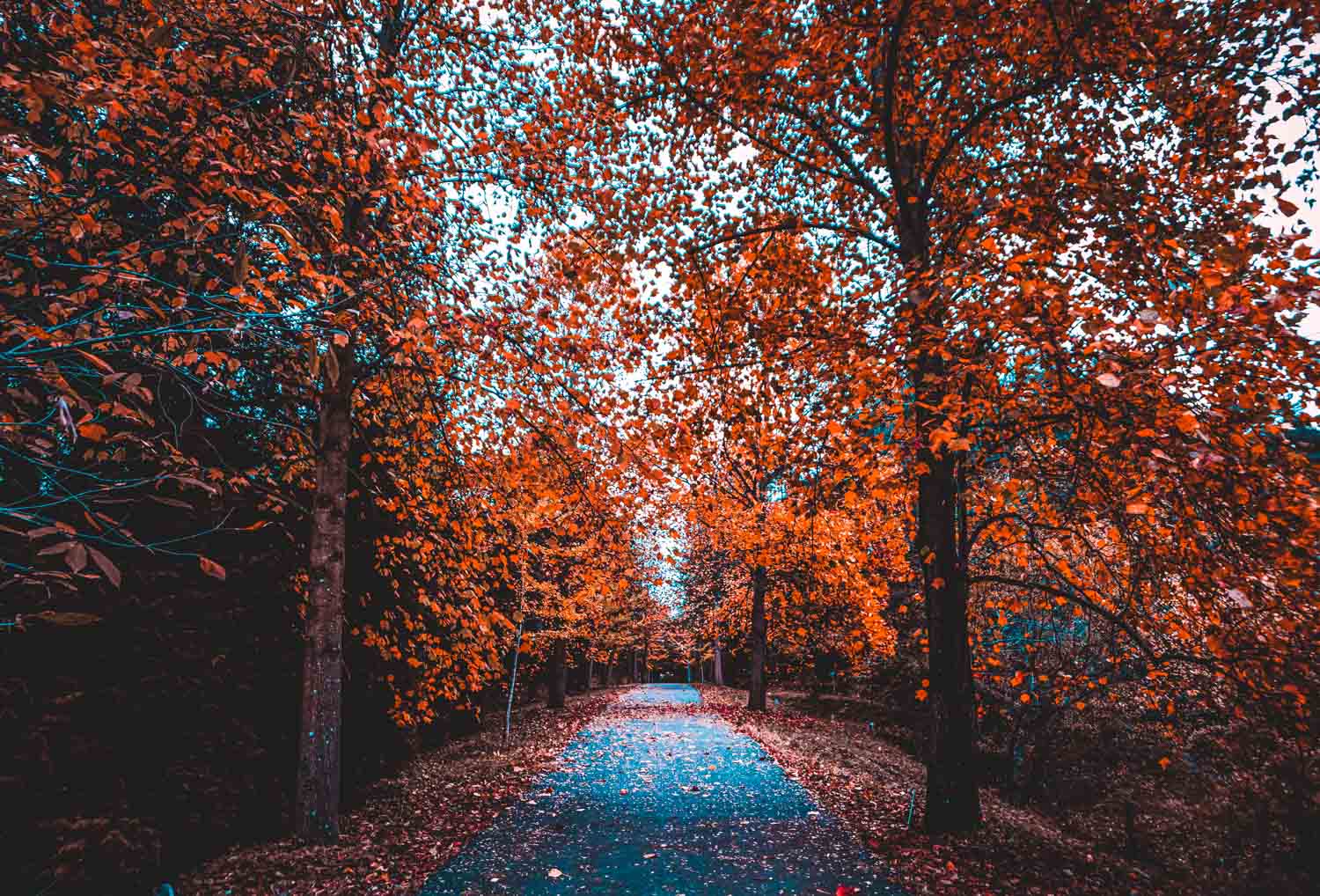 26 Incredible places to spend autumn in Europe