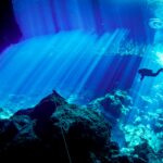 The beautiful underworld diving in Italy