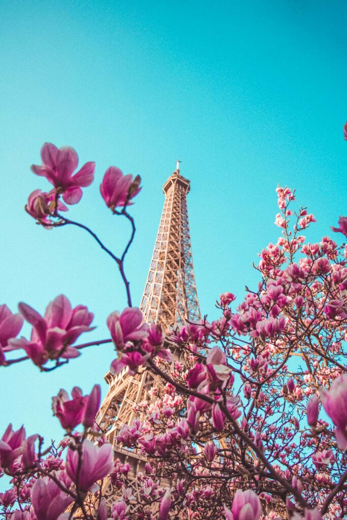 Where To See Cherry Blossoms In Paris | Enjoy Spring In Paris