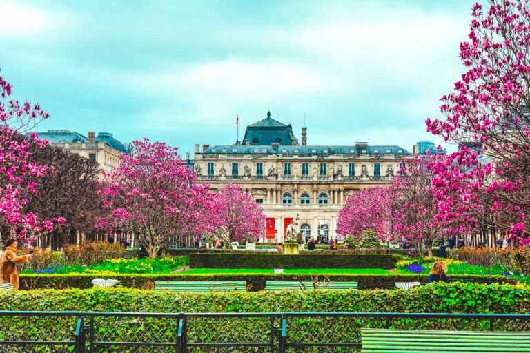 Luxembourg Garden spring - Paris cherry blossoms locations