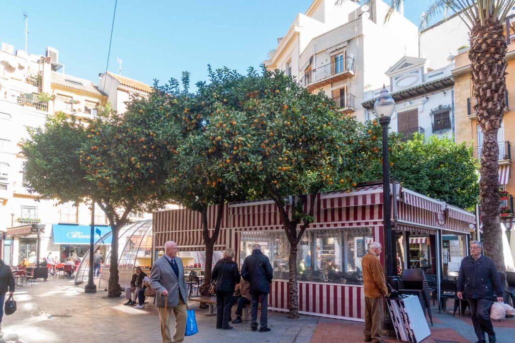 20 Amazing things to do in Murcia, Spain 5 The Market at Plaza de Las Flores is one of the best things to do in Murcia