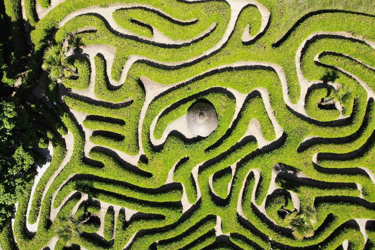 Glendurgan Gardens Maze in Cornwall
