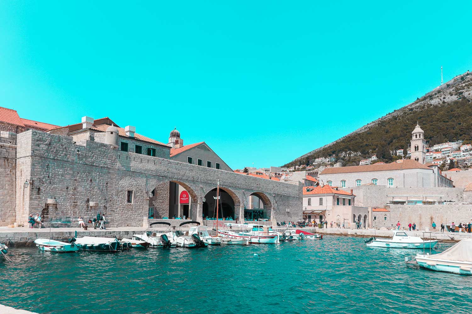 Is Dubrovnik worth visiting? 10 Reasons why you should visit Dubrovnik 4 Umbracle Gardens - Valencia Exotic Park