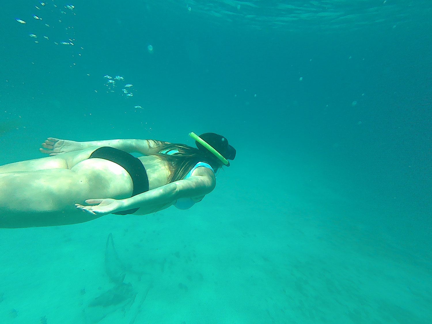 Bimba snorkelling around Barbados incredible crystal blue water