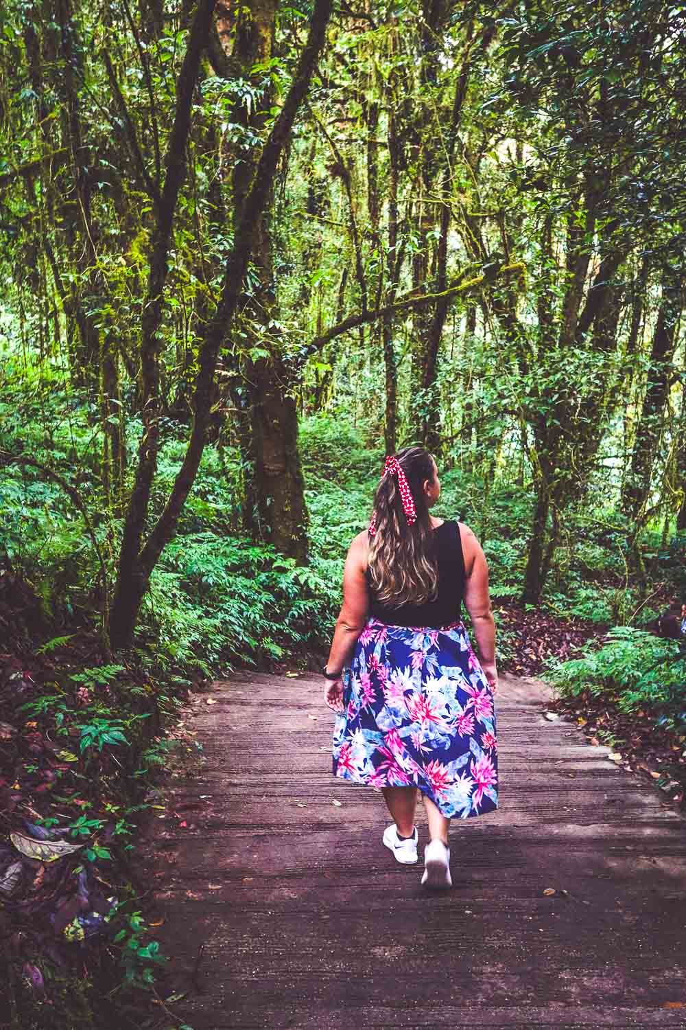 Walking through the jungle in Thailand searching the beauty of hidden waterfall.