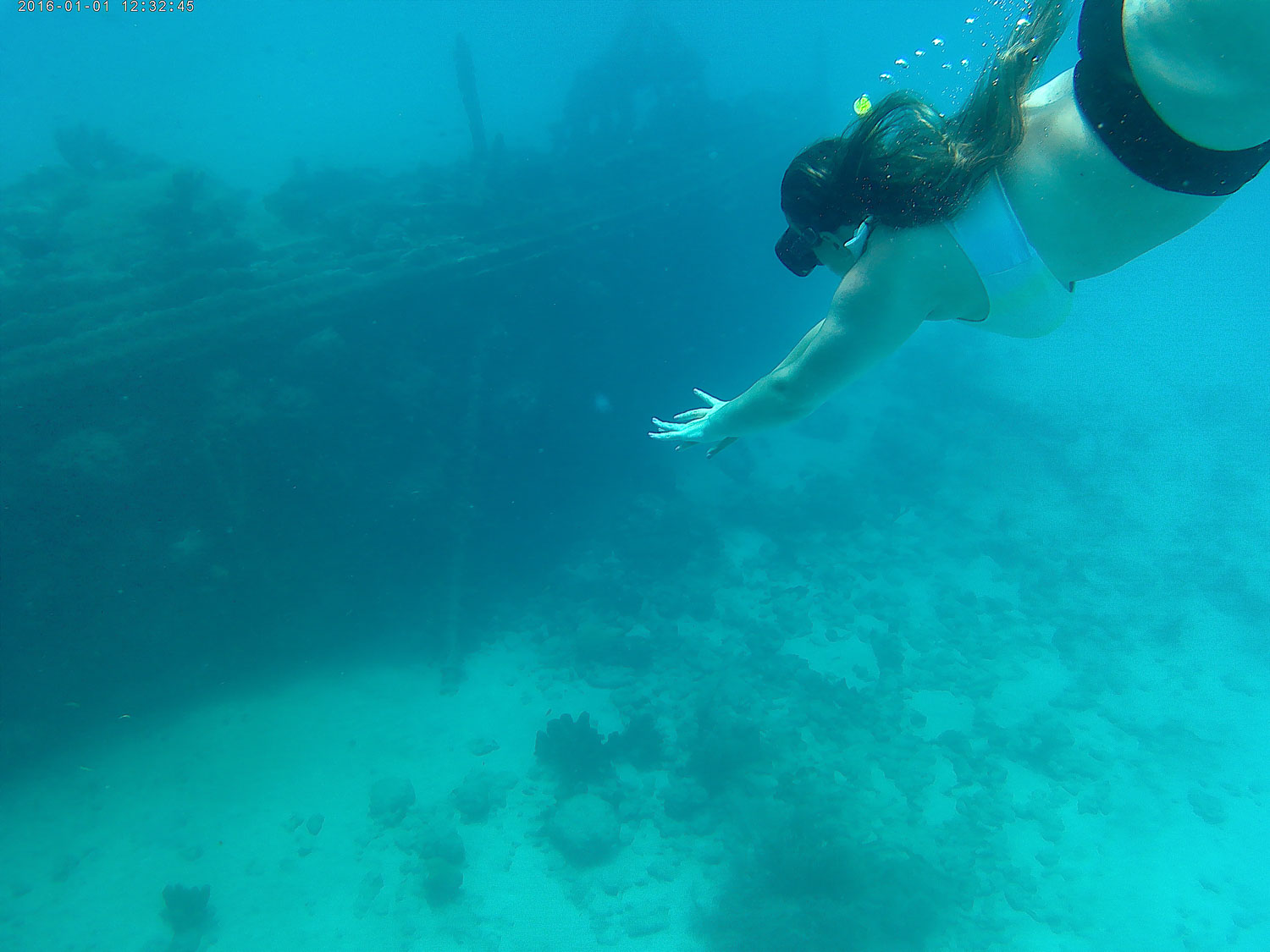 Incredible reasons to visit Barbados - Snorkeling with the turtles in Barbados