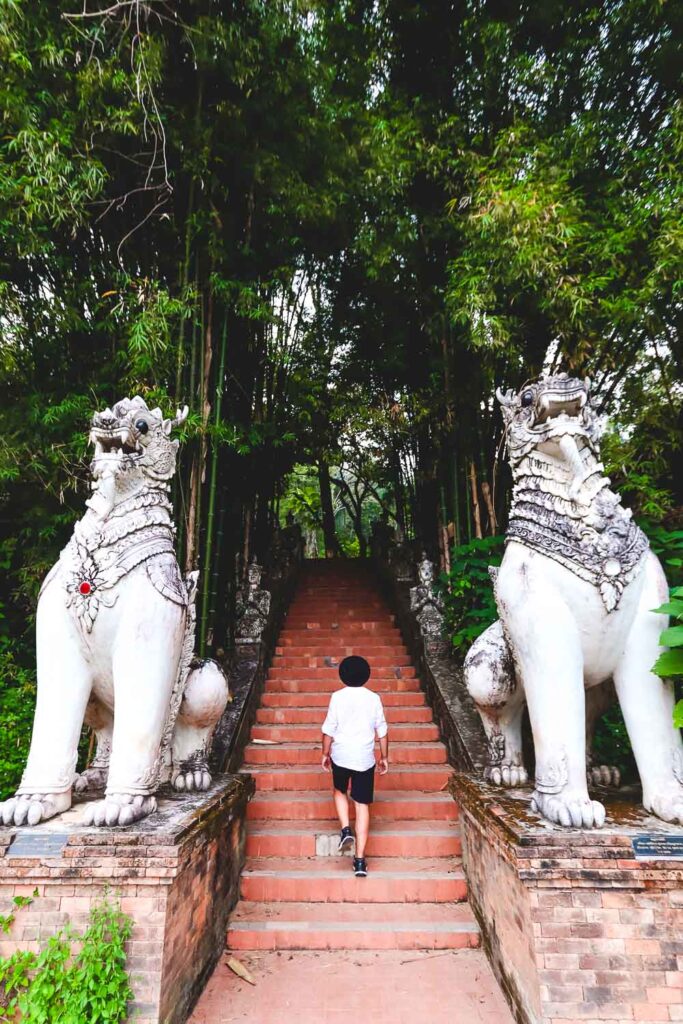 Toti walking up the stairs at Wat Pha Lat Chiang Mai | Chiang Mai 3 days itinerary