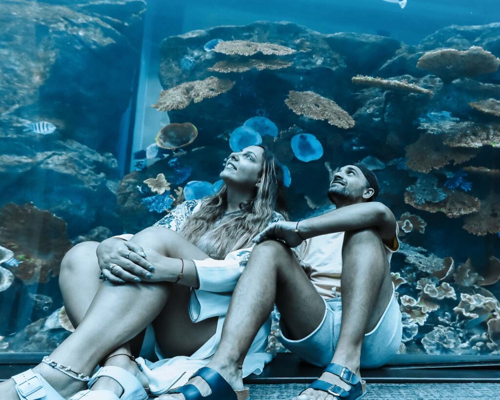 Dubai aquarium is one of the best experiences in Dubai for a stopover