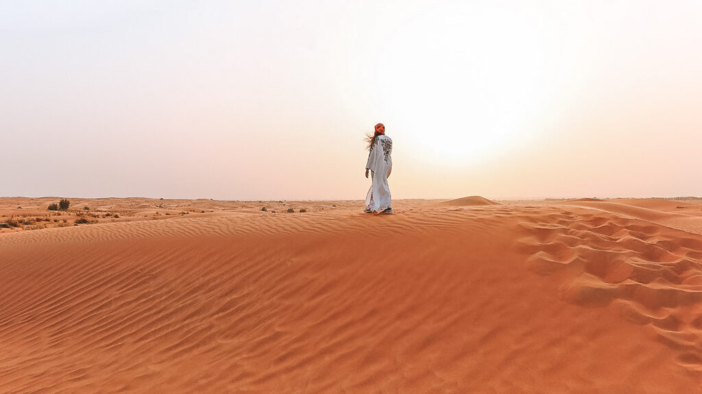 Dubai best photos - Desert and nature reserve in Dubai - UAE
