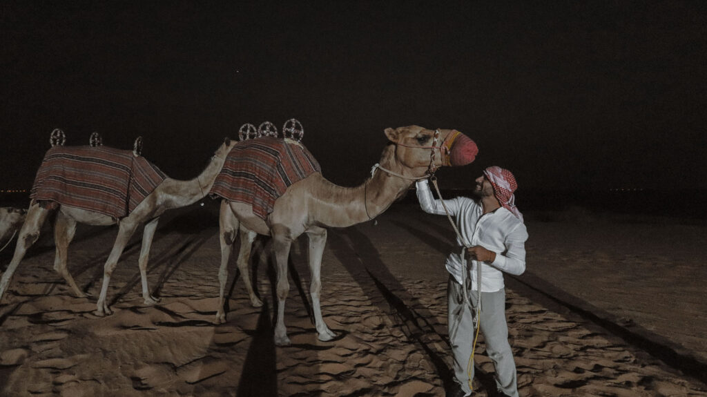 Dubai camel experiences - An incredible activity to do during your Dubai desert safari tour